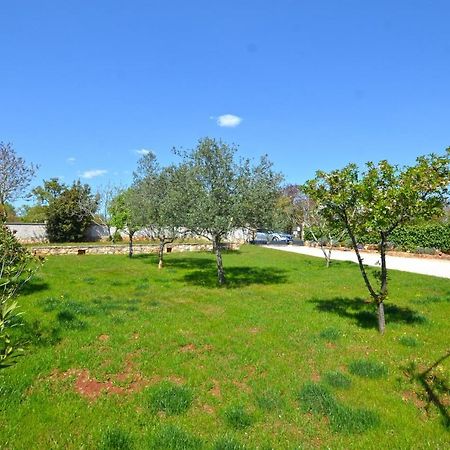 Bavica Apartments 罗维尼 外观 照片